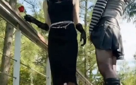 神颜伪娘瓦尔基里推特珍藏合集19部350M异域风情